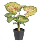   Dekor növény 48 x 46 x 55 cm Piros Zöld PVC MOST 26660 HELYETT 17098 Ft-ért!