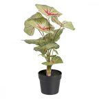   Dekor növény Piros Zöld PVC 40 x 35 x 55 cm MOST 28184 HELYETT 18073 Ft-ért!