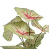 Dekor növény Piros Zöld PVC 40 x 35 x 55 cm MOST 26660 HELYETT 17098 Ft-ért!