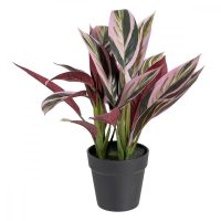   Dekor növény 44 x 39 x 48 cm Rózsaszín Zöld PVC MOST 25894 HELYETT 16610 Ft-ért!