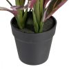 Dekor növény 44 x 39 x 48 cm Rózsaszín Zöld PVC MOST 25894 HELYETT 16610 Ft-ért!