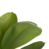 Dekor növény Zöld PVC дъб 58 cm MOST 37682 HELYETT 25374 Ft-ért!