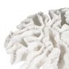Dekoratív Figura Fehér Korall 30 x 30 x 11 cm MOST 25918 HELYETT 16618 Ft-ért!