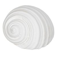   Dekoratív Figura Fehér Kagyló( héj) 11 x 9 x 8 cm MOST 8252 HELYETT 4630 Ft-ért!