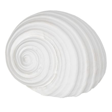 Dekoratív Figura Fehér Kagyló( héj) 11 x 9 x 8 cm MOST 8252 HELYETT 4630 Ft-ért!