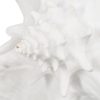 Dekoratív Figura Fehér Kagyló( héj) 21 x 19 x 13 cm MOST 17247 HELYETT 10326 Ft-ért!