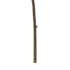 Dekor növény Poliészter 3 X 15 X 95 CM MOST 5824 HELYETT 3051 Ft-ért!