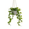 Dekor növény Polietilén Cement 23 x 23 x 46 cm MOST 16636 HELYETT 9963 Ft-ért!