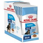   Nedves étel Royal Canin Maxi Puppy 10 x 140 g MOST 17781 HELYETT 10905 Ft-ért!