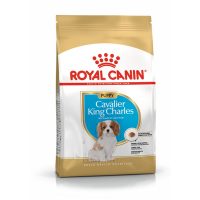   Takarmány Royal Canin Cavalier King Charles Spaniel Puppy 1,5 Kg MOST 18044 HELYETT 12154 Ft-ért!