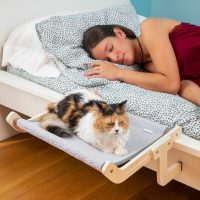   Függőágy macskáknak Hamacat InnovaGoods MOST 46398 HELYETT 12550 Ft-ért!