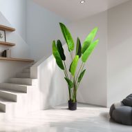 Műnövények Műnövények